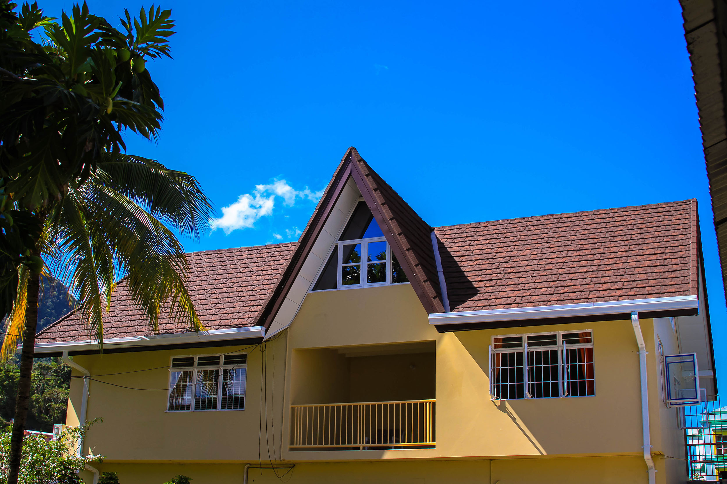 roof shingles